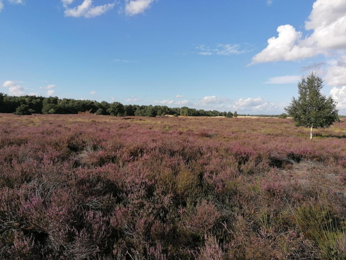 Vakantiehuis De Schaapskooi デルーネン エクステリア 写真